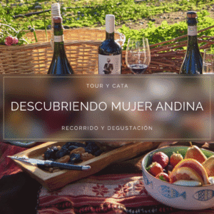 Tour y Cata: Descubriendo Mujer Andina - Cerca de Santiago