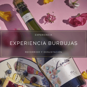 Tour y Cata de Espumantes: Experiencia Burbujas - Cerca de Santiago