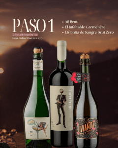 Paso 1 - Descubrimiento
