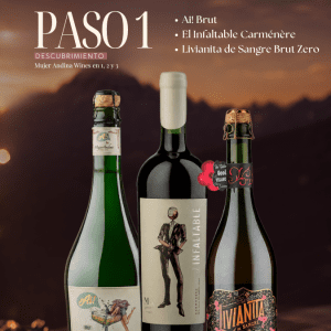 Paso 1 - Descubrimiento