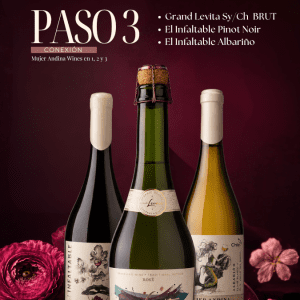 Paso 3 Conexión