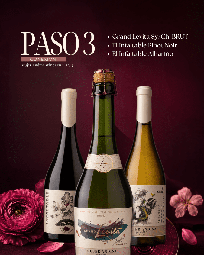 Paso 3 Conexión