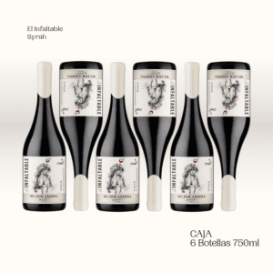El Infaltable Syrah - x6 Botellas