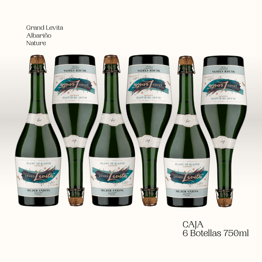 Grand Levita Albariño Blanc de Blancs Nature Vintage 2022 - x6 Botellas