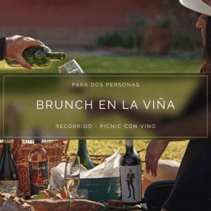 Picnic Brunch en la Viña