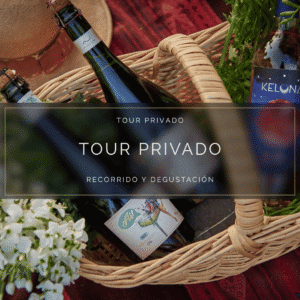 Tour Privado Mujer Andina Wines para 2 - Cerca de Santiago