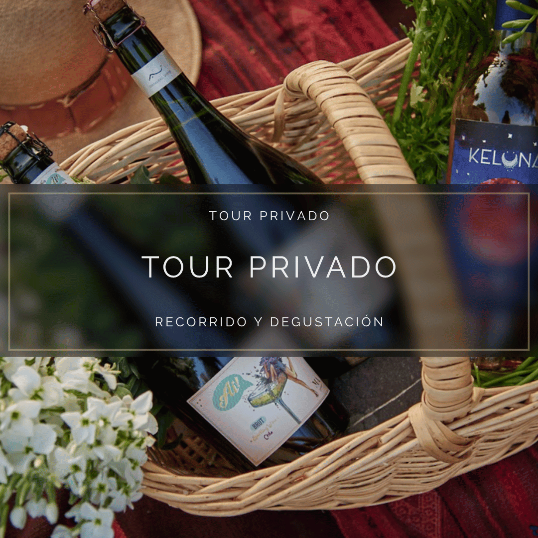 Tour Privado Mujer Andina Wines para 2 - Cerca de Santiago